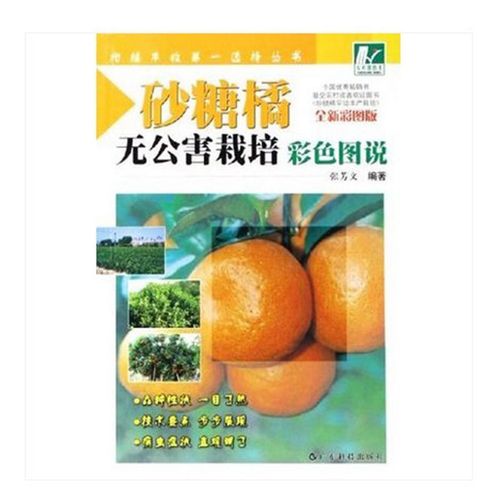 砂糖橘无公害栽培彩色图 柑橘贡柑金柑实用种植技术方法 农业参考
