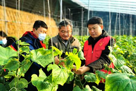 省农业农村厅农技推广总站赴蔬菜基地开展现场指导活动